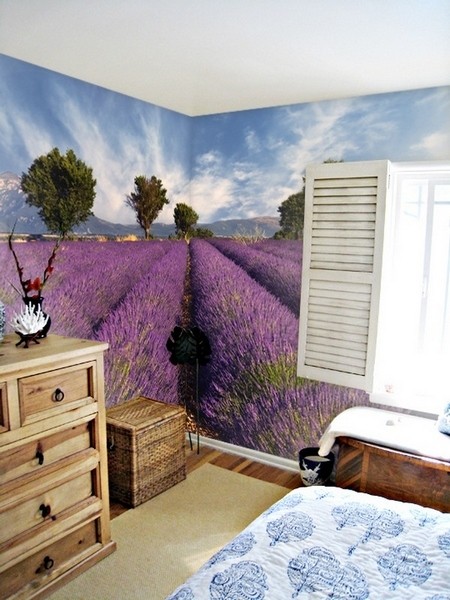 �Ҿ�ܛ�b��څ�ݱڼ����c�����g