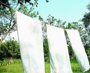 �����ޱ���(hu��)�������f(w��n)���x