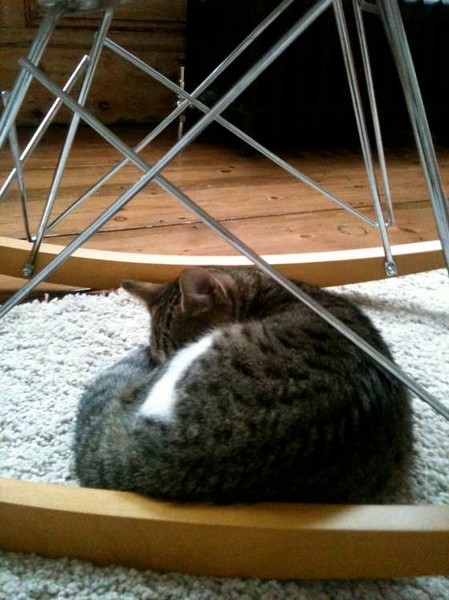 MaddalenaCannarsa��ů�����ļ�