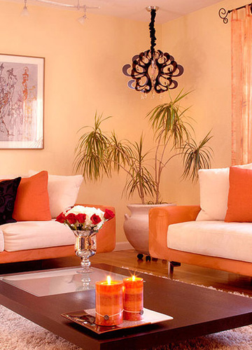 ܛ�b�硰ů����(ji��)�տ͏d