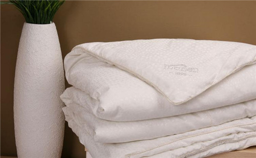 �Q�z������ֹ�������