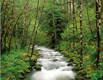 3D�Ҽ��o��?gu��)���ȫ��ҕ�X�_��