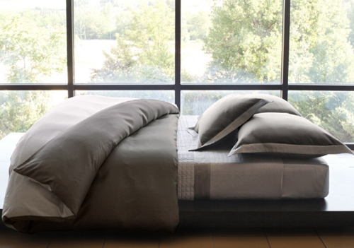 �����Signoria��׌�|����������