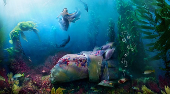 ����Ҽ�������z�������Ј��ᳱ