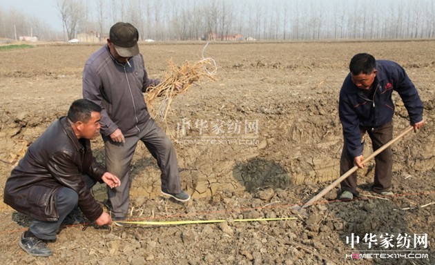 ���ýz�I�f�����B(t��i)ɣ�@�ƌW��ɣ