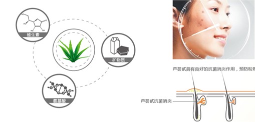 �{(l��n)Ʒ�Ƽ�������Ȼ���B(y��ng)������