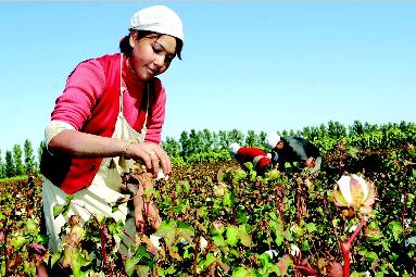 �½���(ch��)�����M(j��n)���ތ�(sh��)�б��������N��