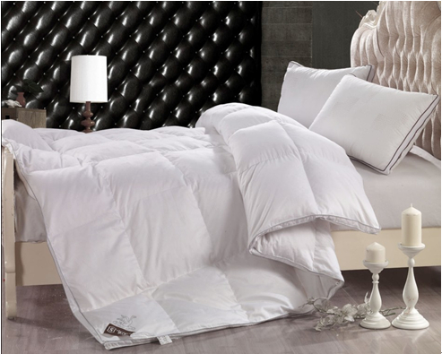 ���ˍu����q���ı��B(y��ng)֪�R