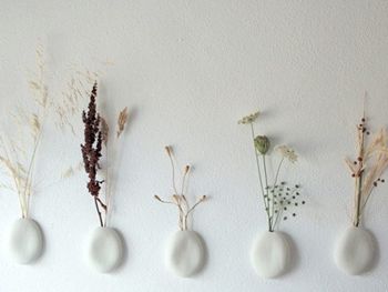 �Gɫֲ���b�c(di��n)����