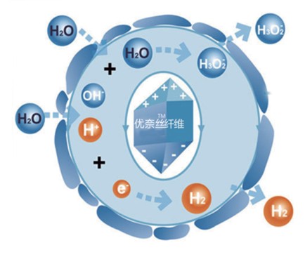 �{(l��n)Ʒ�Ƽ���Ů�ԼҼ������o(h��)����