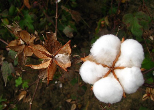 ���Ұl(f��)��2014���޻�Ŀ��(bi��o)�r(ji��)��