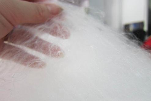 �L(zh��ng)���|(zh��)���O(ji��n)�y(c��)������Q�z���˳ɲ��ϸ�