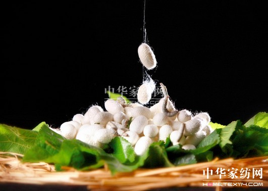 �V���Q�I(y��)���g(sh��)�ƏV��r������(hu��)�ό����_(k��i)