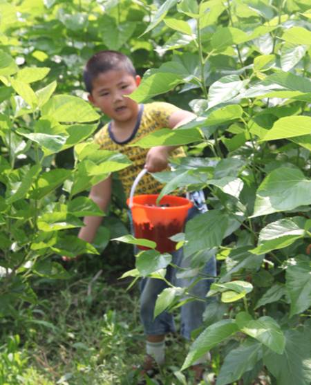 ���ýz�I�׌�ɣ�ز�ժ��(ji��)�����ء���ϲ��