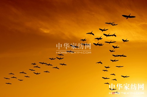 �I(l��ng)��(d��o)��֮���������u�ͷ�(w��n)��