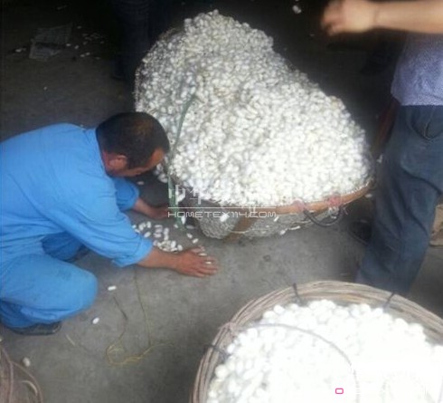 ͩ�l(xi��ng)�����d�ȵ��_(k��i)ʼ��ُ(g��u)���괺�O