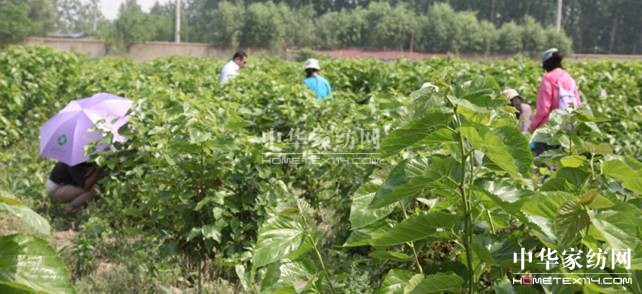 ���ýz�I��ɣ�ز�ժ��(ji��)�A�M(m��n)��Ļ