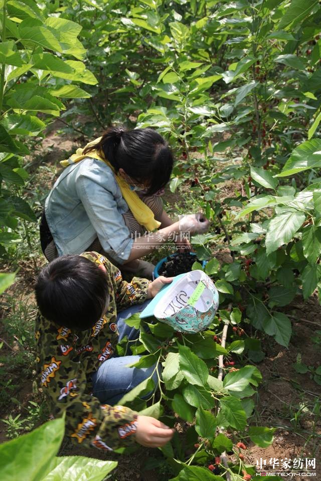 ���ýz�I��ɣ�ز�ժ��(ji��)�A�M(m��n)��Ļ