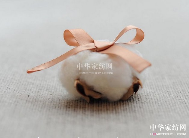 �����l(f��)չ�������Ĵ�ԭ������