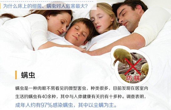 �O�ȝ������͐ۛ]�����x�ı���