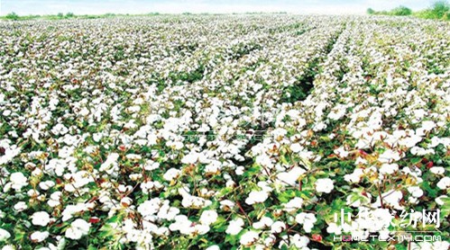 �Č��Ё��W���[��(hu��)���e�k�����a(ch��n)�I(y��)���(hu��)