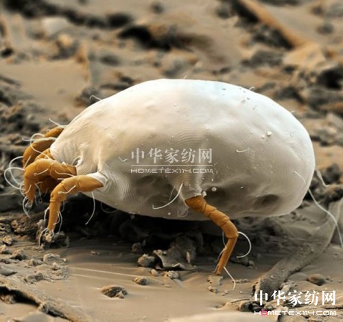 �ļ����ɺ�ҕ�����x(ch��ng)Σ��