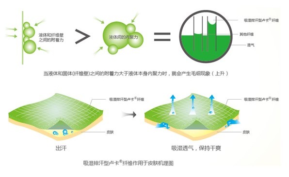 �ļ���Ʒ�o(h��)�B(y��ng)����ϴ��߀����