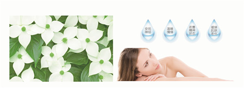 �{�׷���R���w�S������(qu��n)���z�y����ȫ�ɿ�