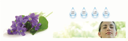 �{�׷���R���w�S������(qu��n)���z�y����ȫ�ɿ�