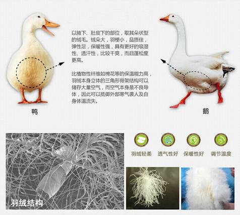 �W�ɼҼ����������u�������xُ(g��u)��Ʒ����q��