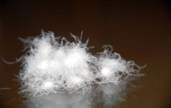 �W�ɼҼ����������u�������xُ��Ʒ����q��