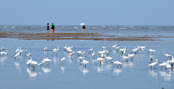 �����˹��á����ărֵ׌�����������