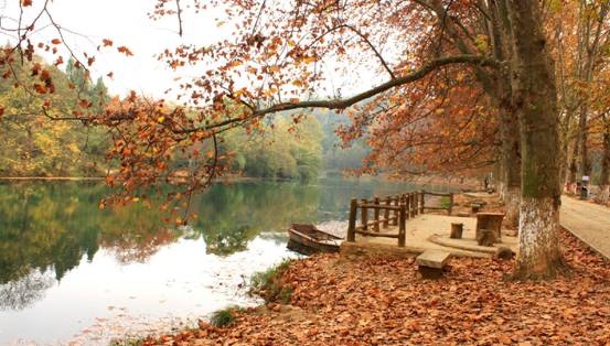 ɼɼ�Ҽ����@��(g��)�������c�ゃ��һ��