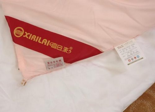 5�·��Ԍ���؈�Ҽ��N��ǰʮ�� ϲ�Ձ��Ҽ�����W(w��ng)ُ����