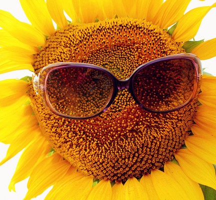 ������ι����ģ����c�����܌W�ǻ�