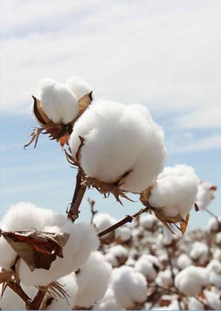 �W�ɼҼ������������ۼ���һ�ӵğ��