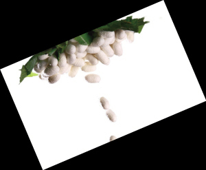 �Q�z���q�r(ji��)������]�ך���