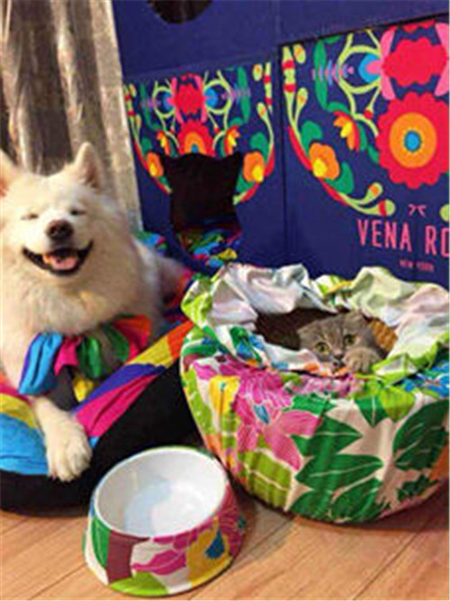 ���Ӷ�����Ψ�_�Ҽ���(d��)�ص��̘I(y��)ģʽ