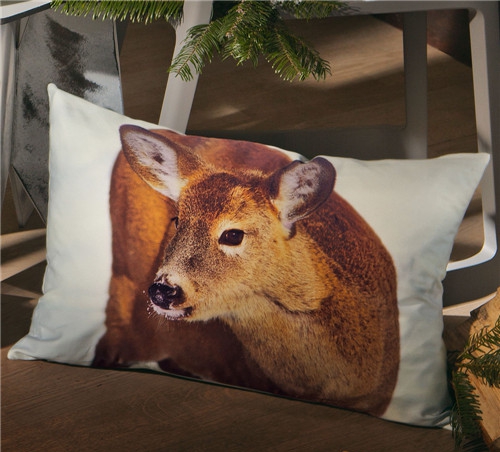 ���r�мҼ�Ʒ��ʥ�Q��(ji��)Ԫ�ؿ��|�������C����