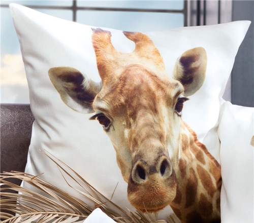 ���r�мҼ�Ʒ��ʥ�Q��(ji��)Ԫ�ؿ��|�������C(j��)����