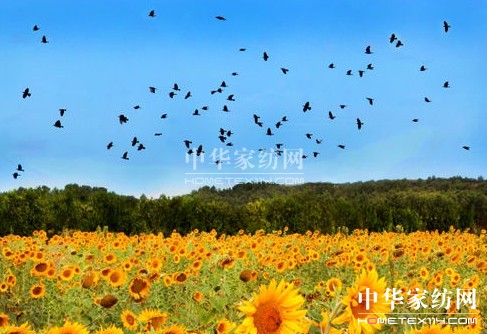 ����һ��ȥ���_��˹���s�᣿