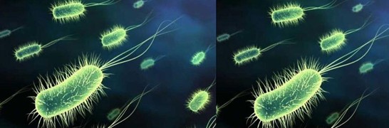 ���_�m�Ҽ�������˯��������˯��������