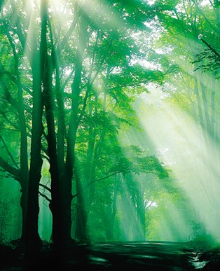 ���_�m���C(j��)�Ҽ���˯���еĿ՚�S����-ؓ(f��)���x��