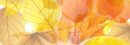 ����˯����ه��Violet���C(j��)�Ҽ�