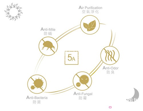 ������ɼ��F(tu��n)�������һվʽ�Ҿ������w�(y��n)�^�����L(zh��ng)��׿չ