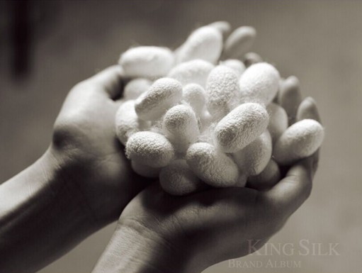 �vʹ�q������  �X���ʐ�(��i)����������D(zhu��n)