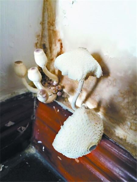 �û�����Ҿ���Ʒ�������^������ˬ��÷�꼾