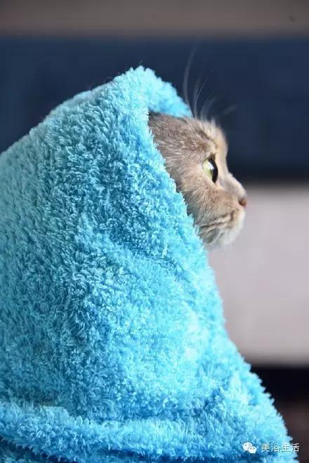 ��ԡ���ë�����Ԍ�����ë��Ҳ�����v����