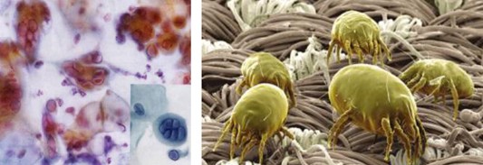 ���_�m�Ҽ�������������������360�㝍����˯