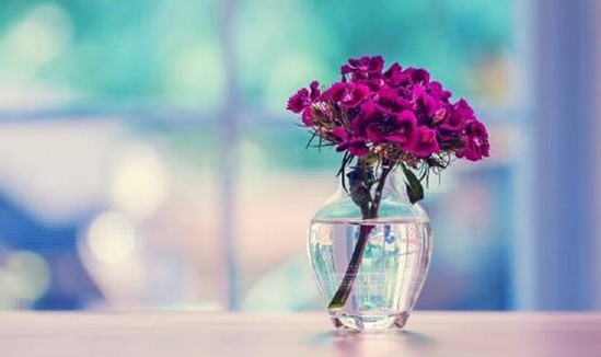 ���_�m�Ҽ���������������z��˲�g�������Ử�ڻ�